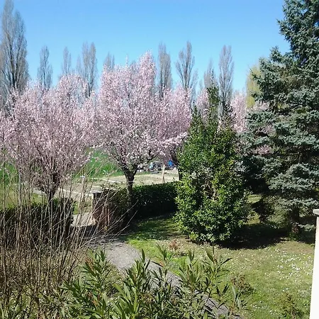 Bed and Breakfast Gardenia Αρτζελάτο